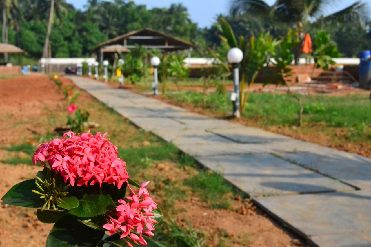 Radhika Eco Resort Arambol Esterno foto