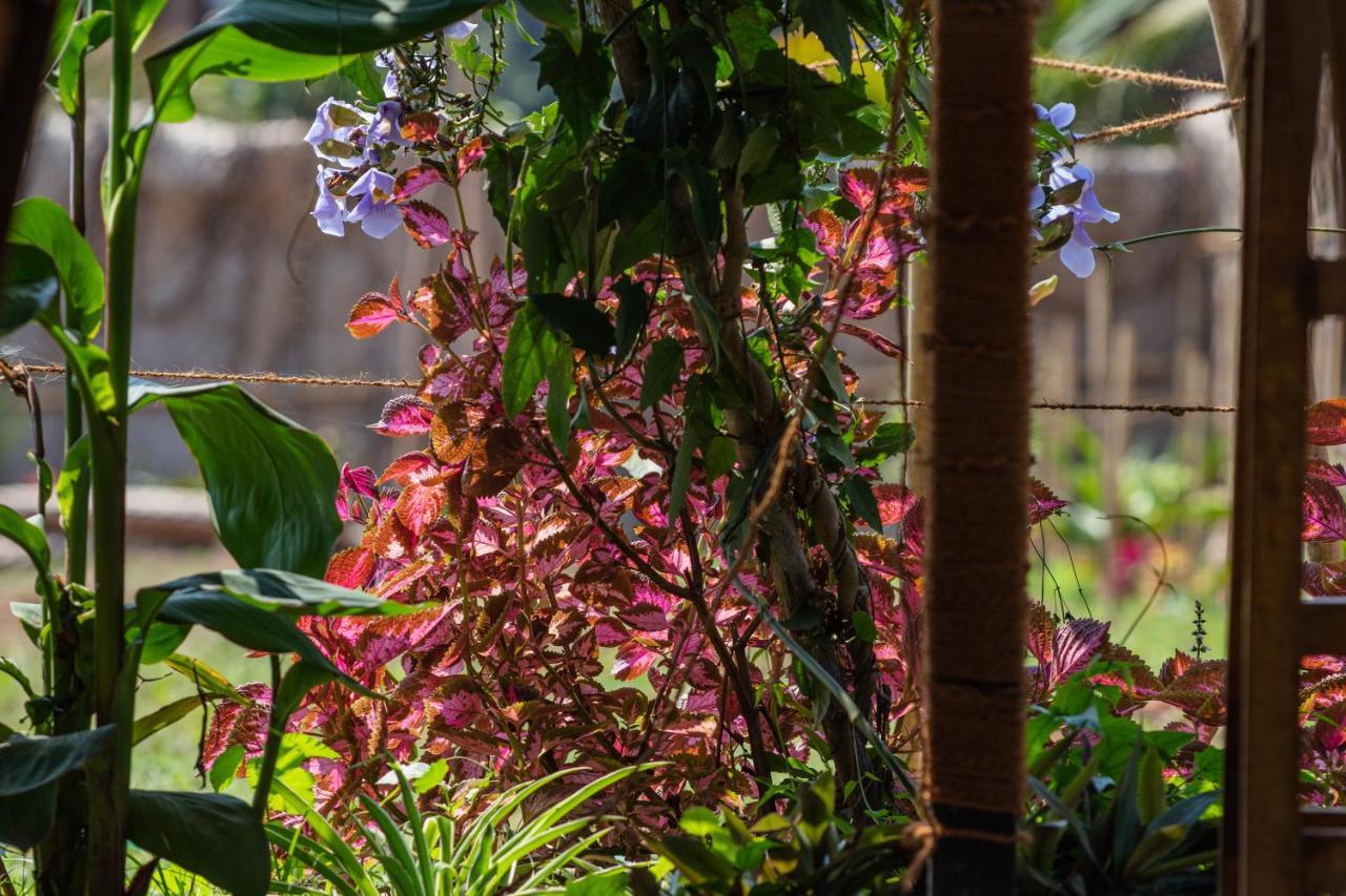 Radhika Eco Resort Arambol Esterno foto